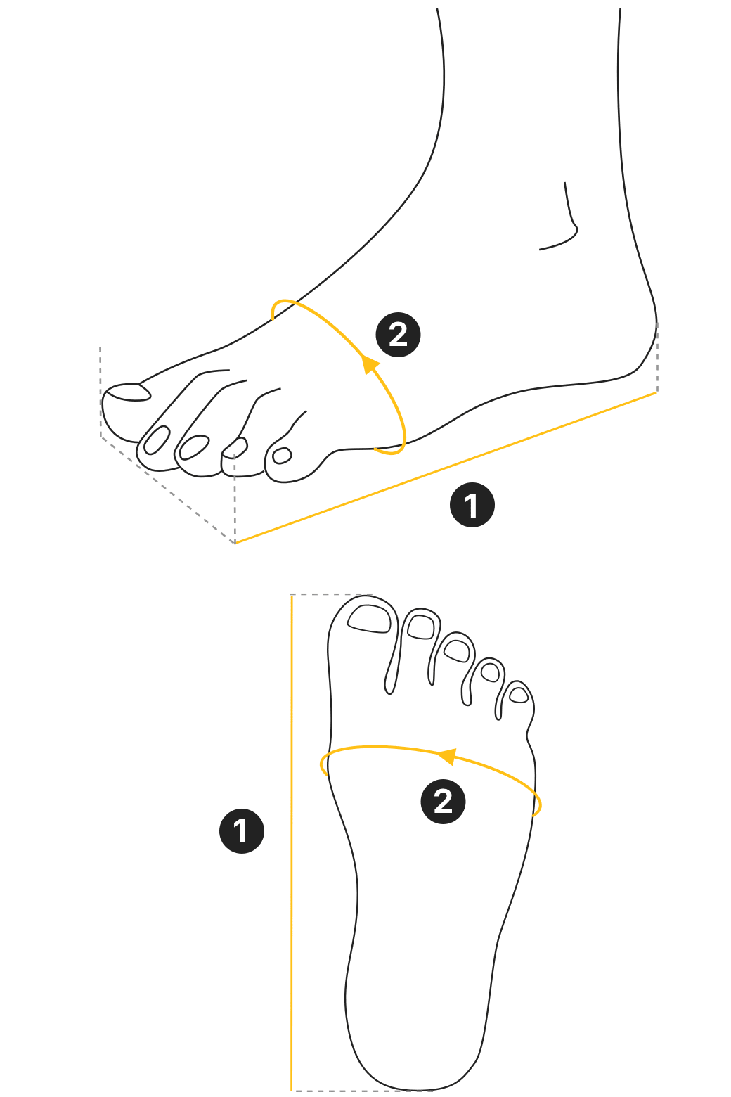 2026 Women's Frangipani Thong Sandals, Square-Toe Flat Sandals, Summer Beach Vacation Shoes